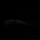 Side view of a detailed Giraffe Stag Beetle plush, capturing the realistic shape of this giant beetle