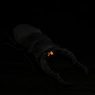 Top angle of the Giraffe Stag Beetle plush toy shows its accurate body and prominent mandibles