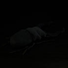 Back view of Giraffe Stag Beetle plush, showing soft fabric and realistic leg details for collectors