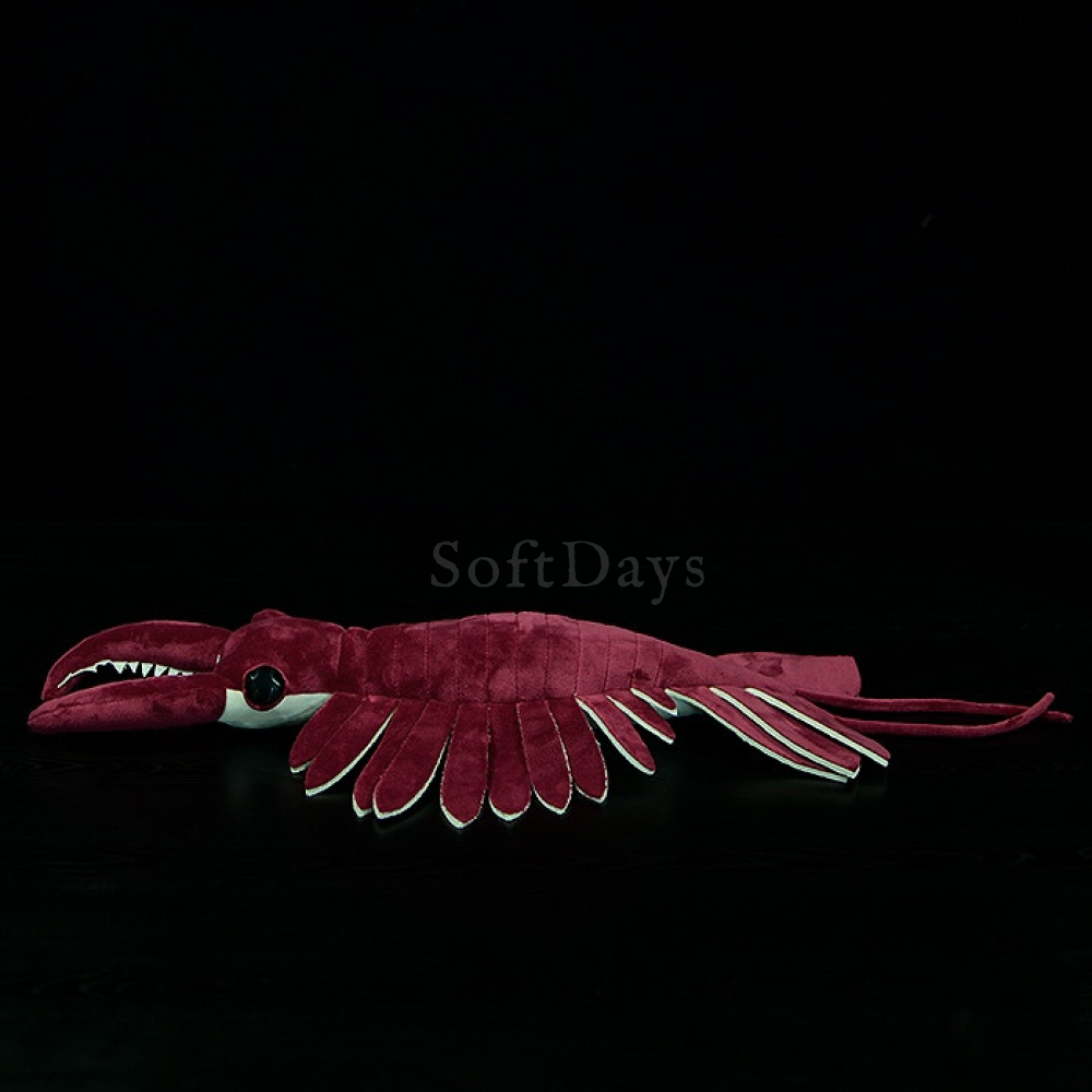 Realistic Anomalocaris Cambrian Predator Plush Toy – Soft, Striking, and Perfect for Prehistoric Enthusiasts