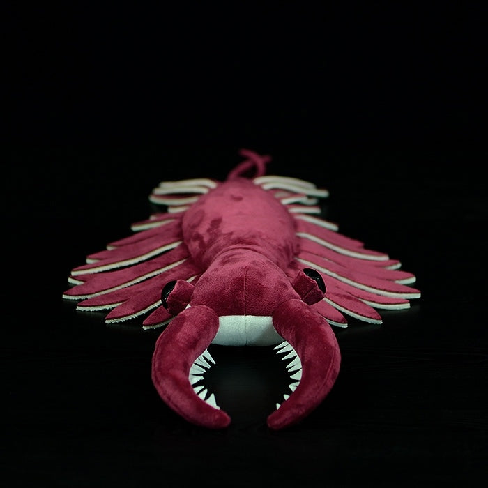 Lifelike Anomalocaris Cambrian Predator Plush Toy – Soft Stuffed Prehistoric Animals