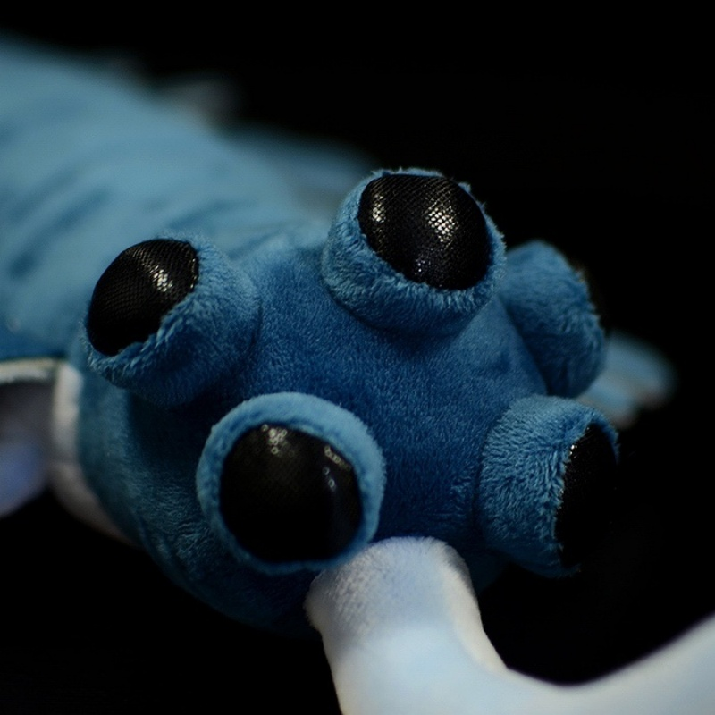 Detailed view of the Opabinia stuffed toy's eyes, designed with lifelike and intricate features