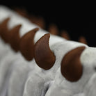 Onychodictyon Soft Stuffed Plush Toy – Lifelike Prehistoric Armored Worm Companion