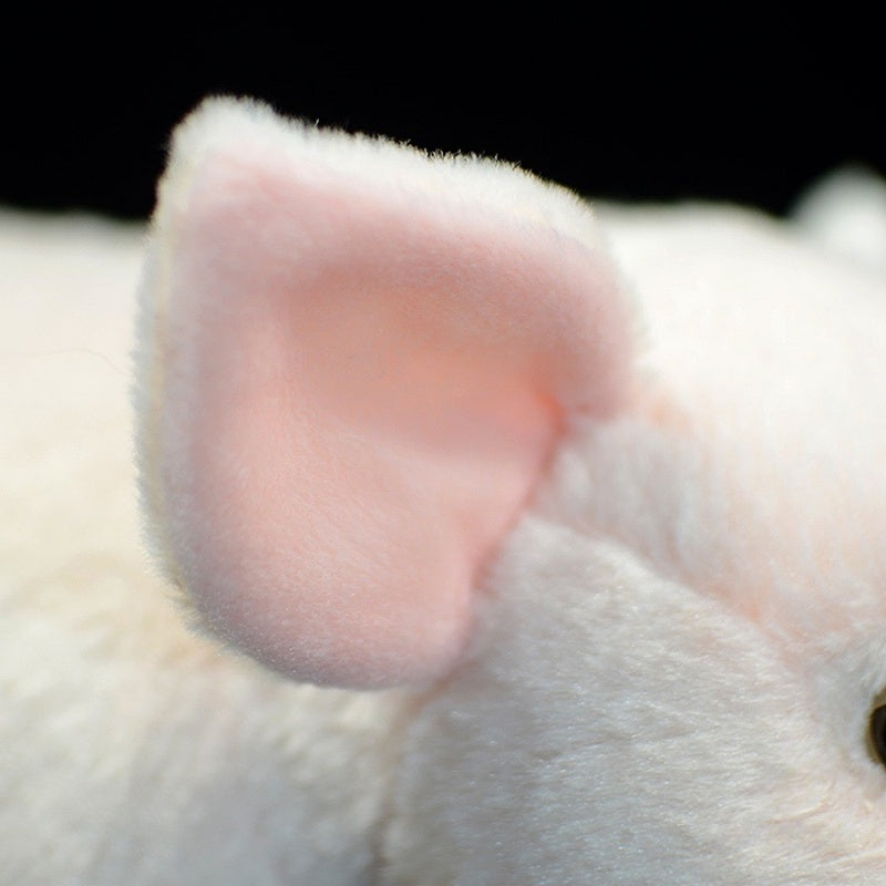 Close-up of the pig plush’s soft pink ear, designed with lifelike details