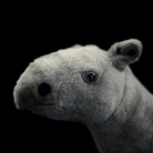 Adorable Paraceratherium Plush Toy – Soft, Realistic, and Perfect for Prehistoric Animal Lovers