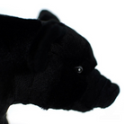 Close-up of black pig plush’s side profile, highlighting its realistic snout and soft detailed fabric