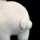 Focused shot of the plush pig’s tiny curled tail, adding charm to the realistic design