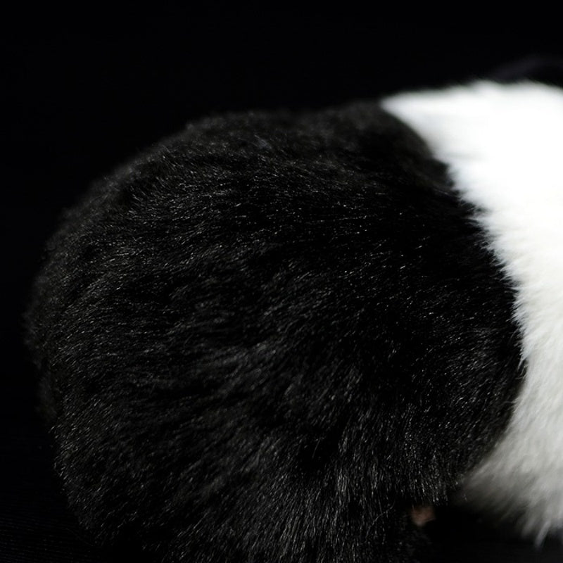 Texture-focused close-up of the black fur on the guinea pig plush toy, showing its premium quality by SoftDaysLab