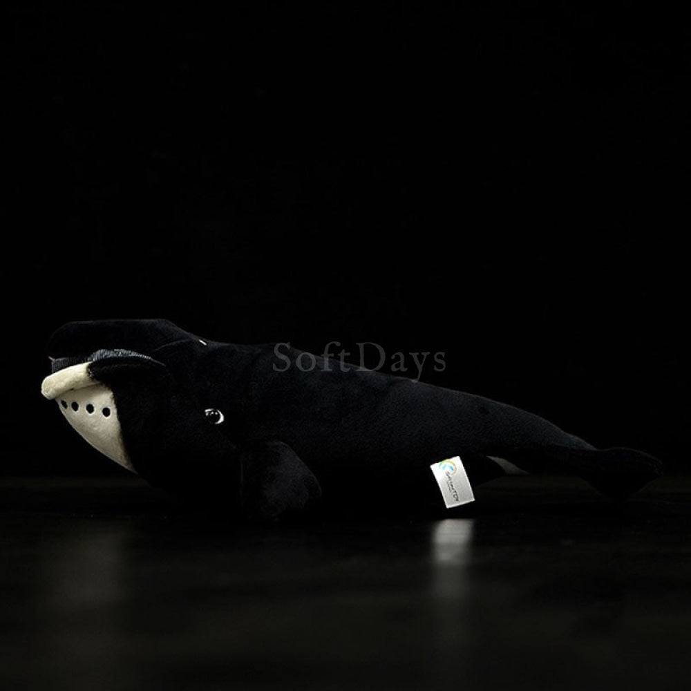 Lifelike Bowhead Whale Plush Toy – Soft, Realistic, and Cuddly