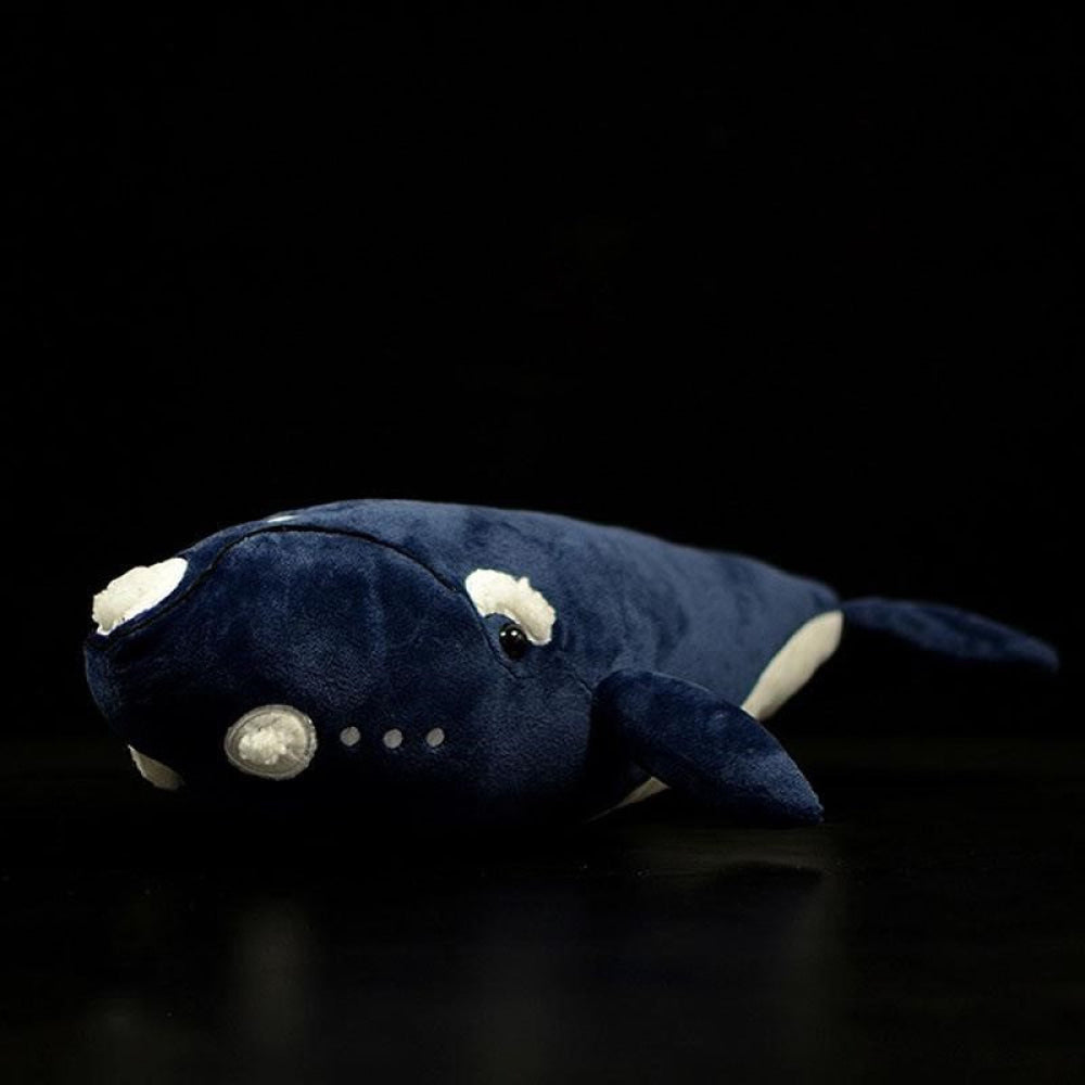 Lifelike Southern Right Whale Plush Toy – Soft, Realistic, and Cuddly