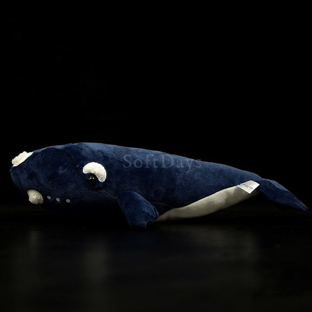 Lifelike Southern Right Whale Plush Toy – Soft, Realistic, and Cuddly