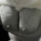 Zoomed-in view of the plush gorilla's chest, showcasing realistic texture and high-quality craftsmanship