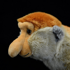 Realistic Long-Nosed Proboscis Monkey Plush Toy –  Soft and Unique