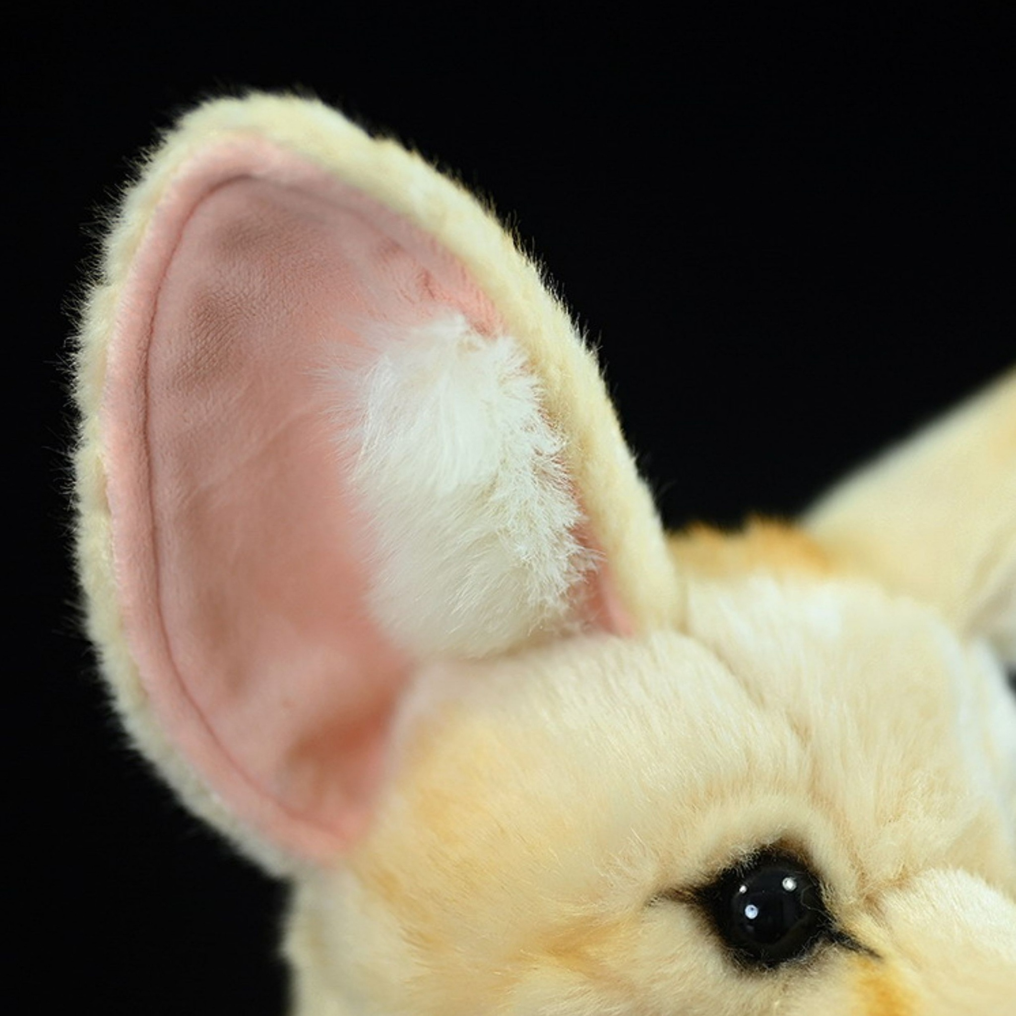 Close-up of a fennec fox plush toy’s large ear with soft pink inner lining and fluffy detail