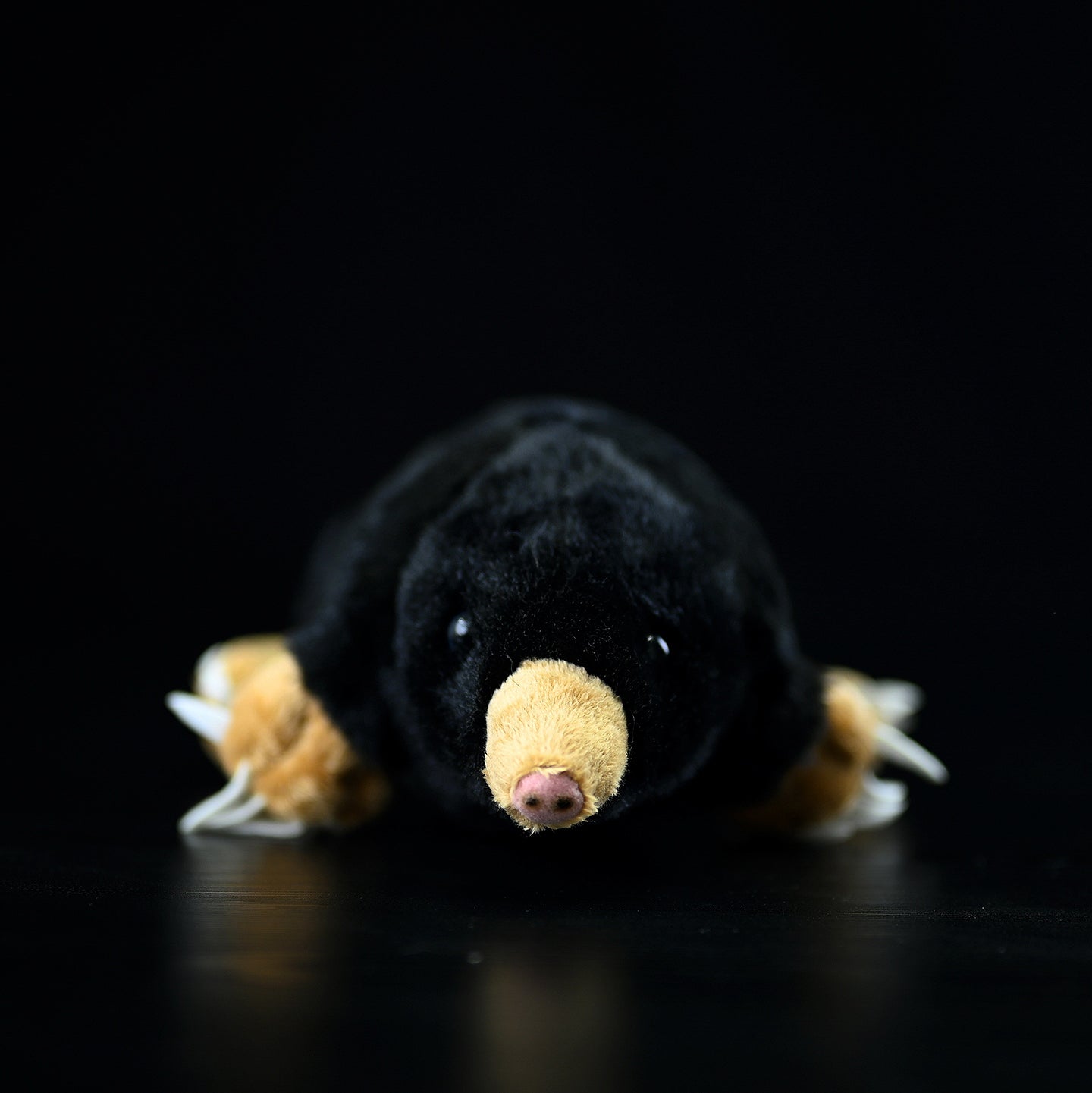 Front view of a cute mole plush toy showcasing its lifelike snout and small, shiny eyes
