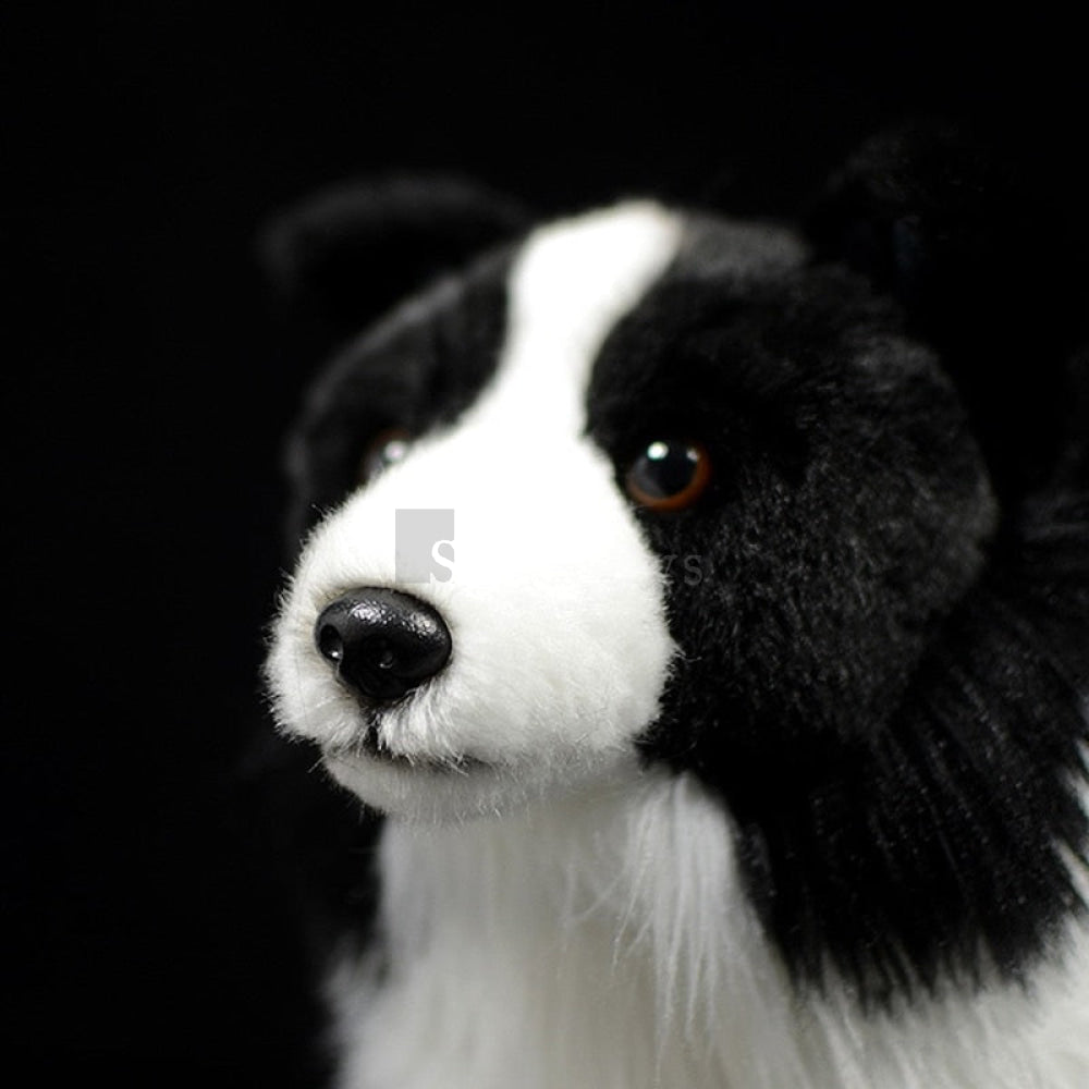 Realistic Border Collie Plush Toy – Soft, Cuddly, and Perfect for Dog Lovers