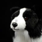 Realistic Border Collie Plush Toy – Soft, Cuddly, and Perfect for Dog Lovers