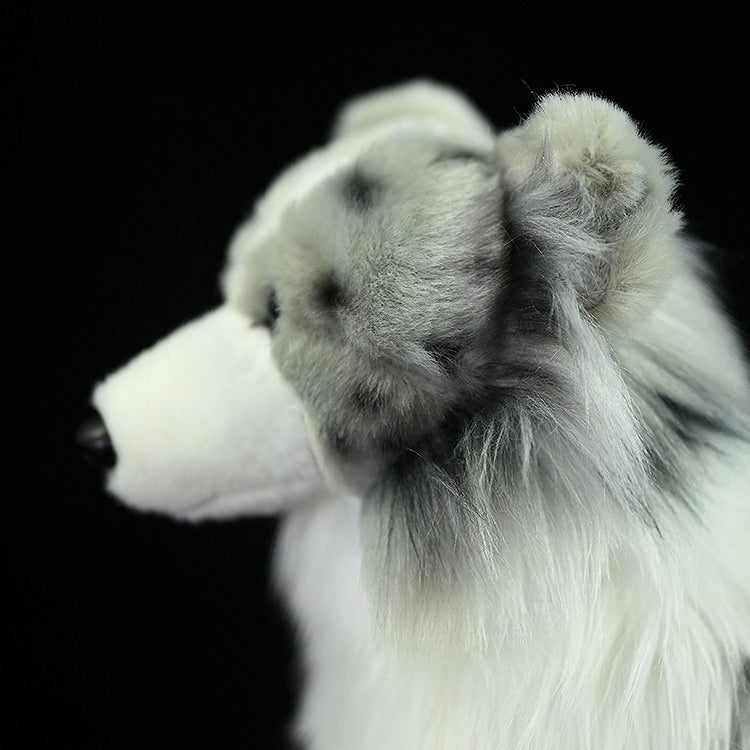 Close-up of Blue Merle Border Collie plush’s ear and fur texture, emphasizing its realistic details
