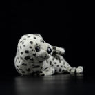 Lifelike Spotted Seal Pup Soft Stuffed Plush Toy – Adorable and Ocean-Inspired