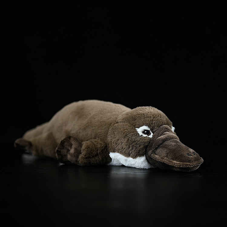 Duck-billed Platypus Soft Stuffed Plush Toy – Lifelike, Adorable, and Hug-worthy Companion