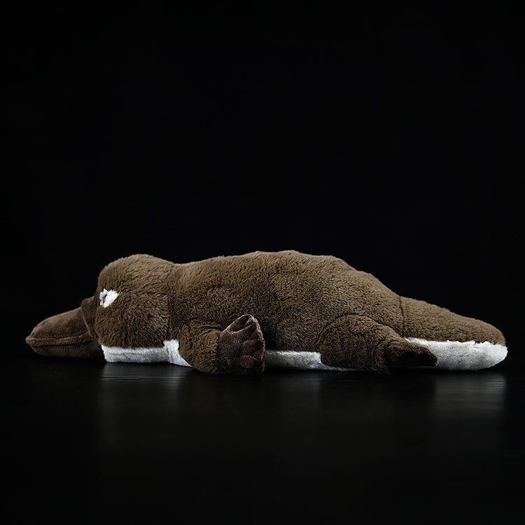 Duck-billed Platypus Soft Stuffed Plush Toy – Lifelike, Adorable, and Hug-worthy Companion