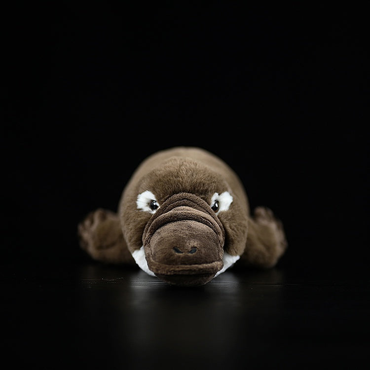 Duck-billed Platypus Soft Stuffed Plush Toy – Lifelike, Adorable, and Hug-worthy Companion