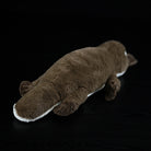 Duck-billed Platypus Soft Stuffed Plush Toy – Lifelike, Adorable, and Hug-worthy Companion