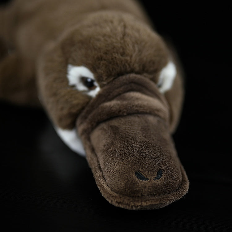 Duck-billed Platypus Soft Stuffed Plush Toy – Lifelike, Adorable, and Hug-worthy Companion