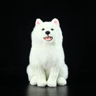 Samoyed Dog Plush Toy – Fluffy, Huggable, and Perfect for Dog Lovers