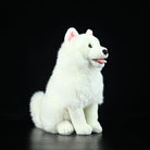 Samoyed Dog Plush Toy – Fluffy, Huggable, and Perfect for Dog Lovers
