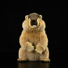 Lifelike Marmot Plush Toy – Soft, Adorable, and Hug-worthy Companion