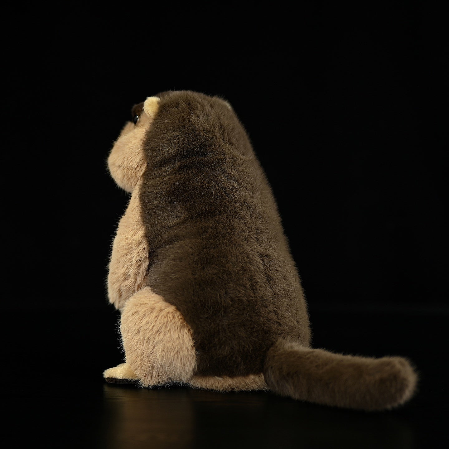 Lifelike Marmot Plush Toy – Soft, Adorable, and Hug-worthy Companion