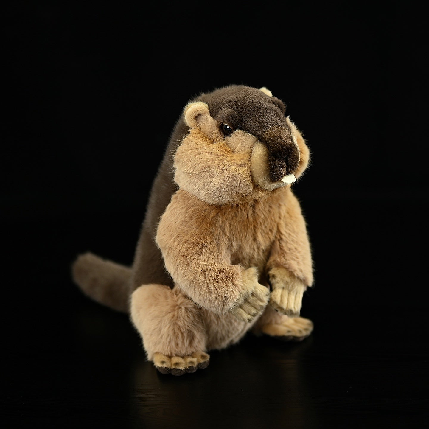 Lifelike Marmot Plush Toy – Soft, Adorable, and Hug-worthy Companion