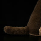 Lifelike Marmot Plush Toy – Soft, Adorable, and Hug-worthy Companion
