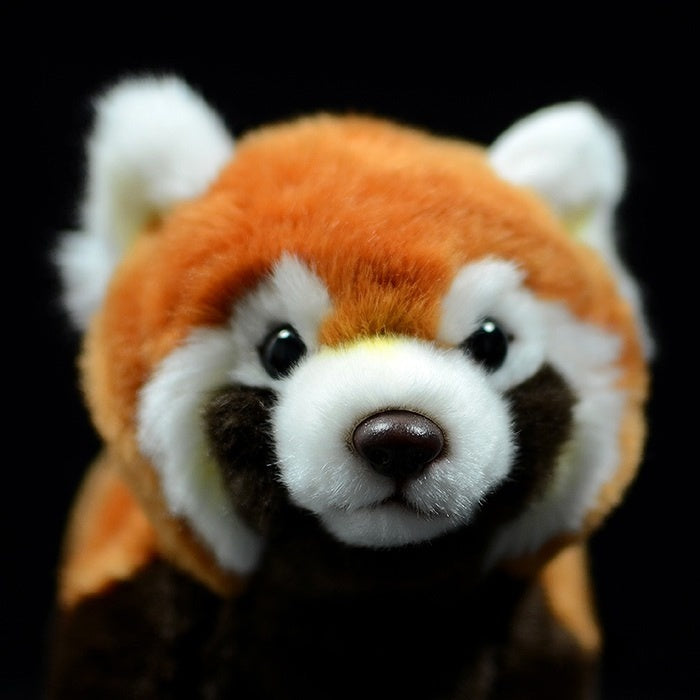 Close-up of the red panda plush toy's face, showing its lifelike expression and charming features