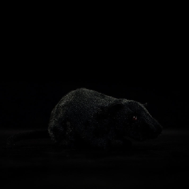 Black rat plush toy side profile showcasing lifelike fur texture by SoftDaysLab. Perfect for collectors