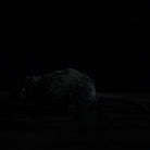 Black rat plush toy side angle, highlighting detailed craftsmanship and soft, lifelike design
