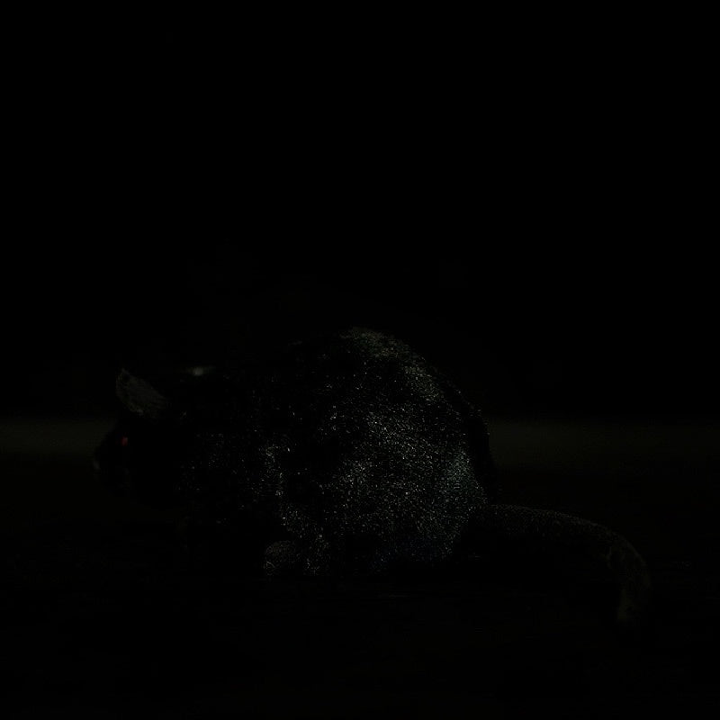 Rear view of the black rat plush toy, featuring its realistic body shape and tail detail