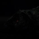 Close-up of the black rat plush's textured fur and curved ear, emphasizing lifelike features