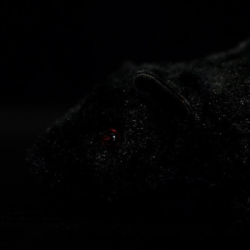 Close-up of the black rat plush's textured fur and curved ear, emphasizing lifelike features