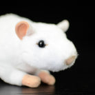Close-up of the white lab mouse plush toy's face, highlighting lifelike eyes and soft material