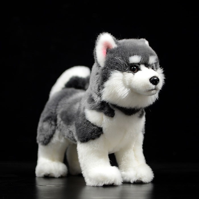 Grey and white Alaskan Malamute plush toy standing on display, highlighting realistic details