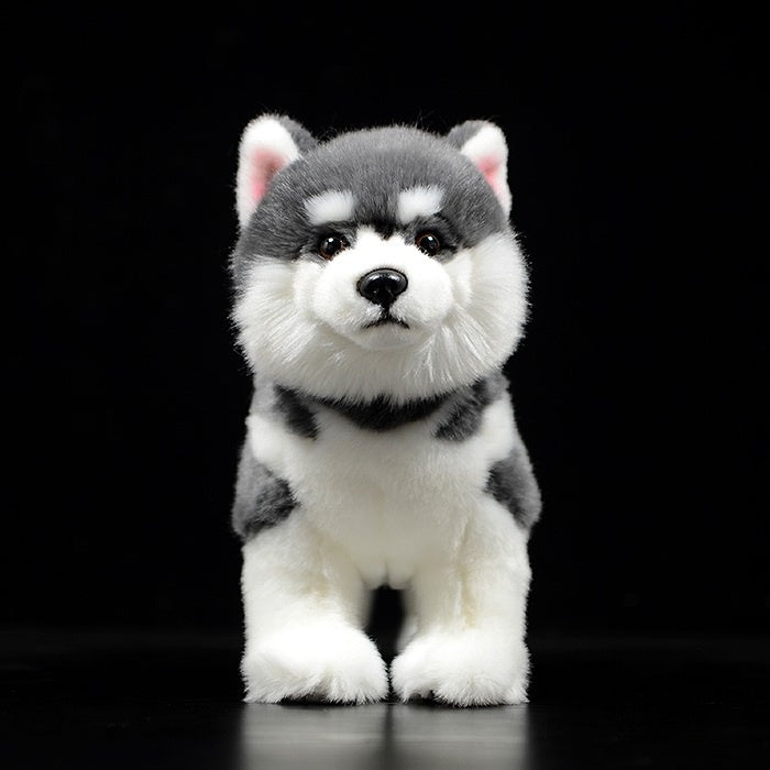Front view of a lifelike Alaskan Malamute stuffed animal with soft fur and adorable expression