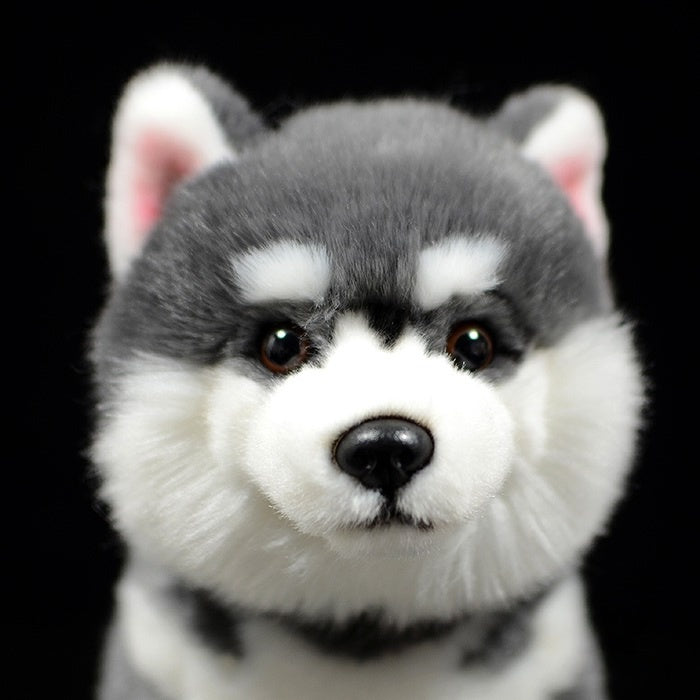 Close-up of the Alaskan Malamute plush toy's face, showing realistic eyes and soft grey fur