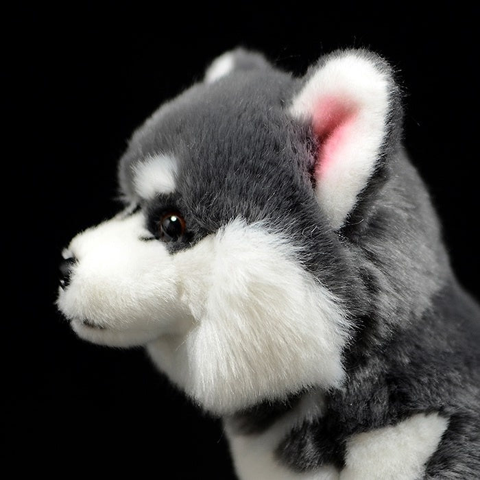 Side view of the Alaskan Malamute plush toy’s head, highlighting its upright ears and soft fur