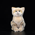 Front view of an adorable sand cat plush toy with lifelike design, perfect for wildlife lovers by SoftDaysLab