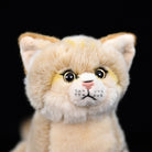 Close-up of sand cat plush toy’s adorable face, with lifelike eyes and soft, realistic fur by SoftDaysLab