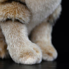 Detailed close-up of sand cat plush toy’s paws, highlighting soft fur and craftsmanship by SoftDaysLab