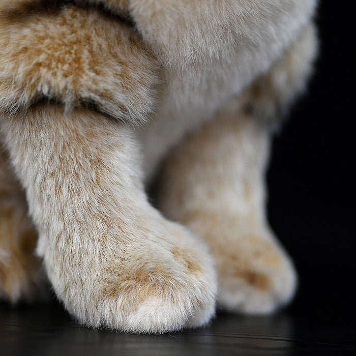 Detailed close-up of sand cat plush toy’s paws, highlighting soft fur and craftsmanship by SoftDaysLab