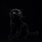 Realistic black cat plush toy with lifelike yellow eyes, perfect for cat lovers and collectors